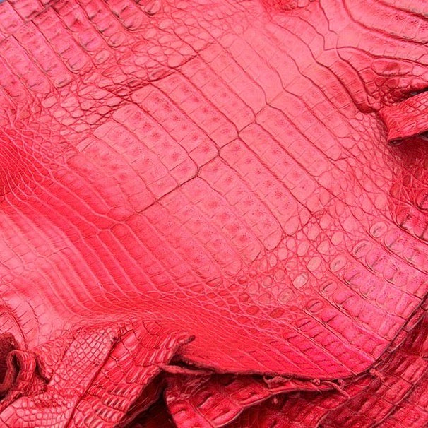 Ella Crocodile Red - Order for Nov Delivery