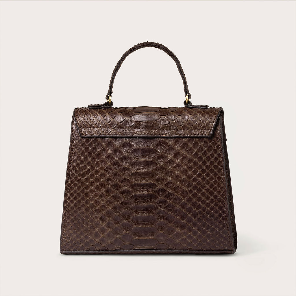 Eleanor Python Chocolate Truffle