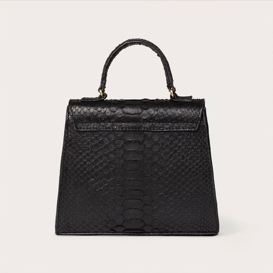 Eleanor Python Black