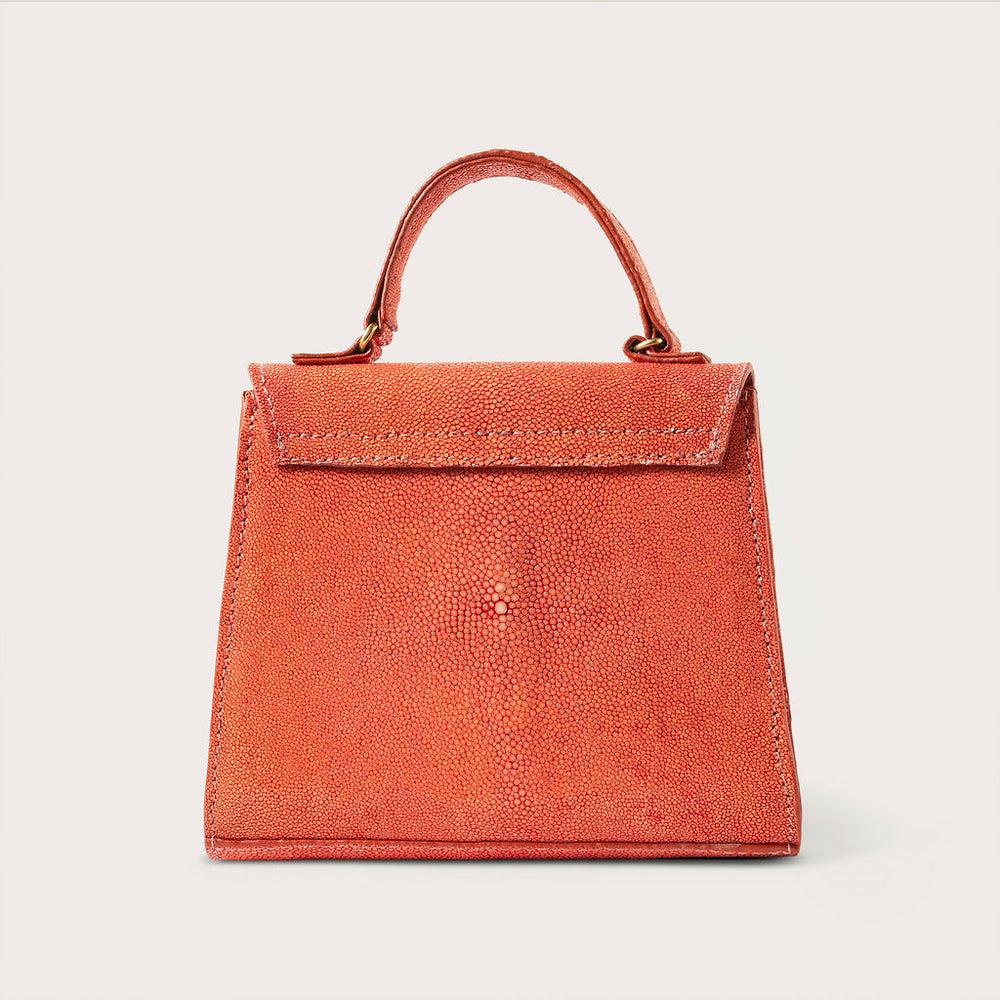 Eleanor Polished Stingray Coral