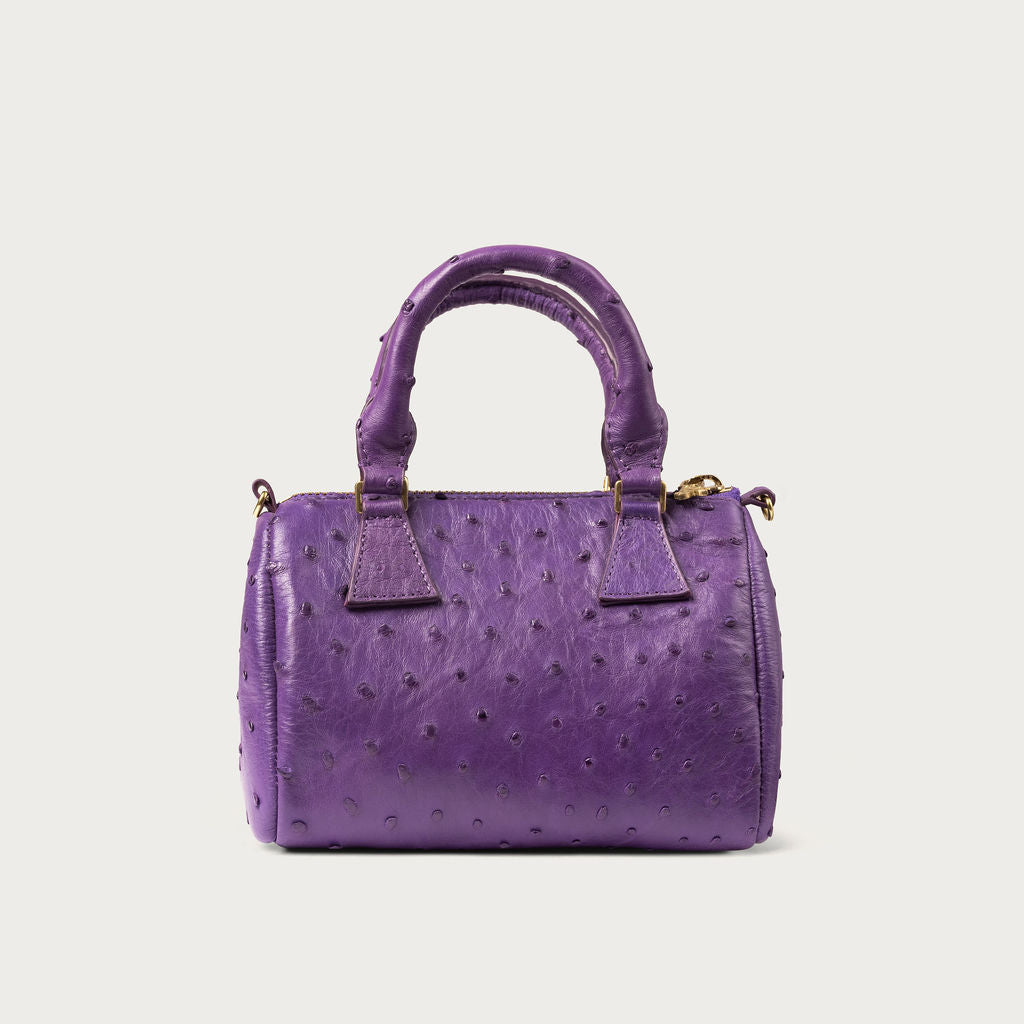 Victoria Ostrich Bellflower